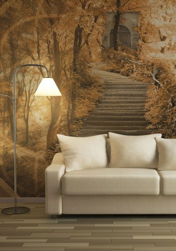 ARTGEIST - Fototapet fra skoven med trappe der leder op til en dr - Flere strrelser