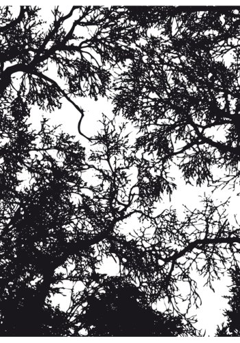 ARTGESIT - Fototapet i skov-design med sorte silhuetter af trer - Flere strrelser