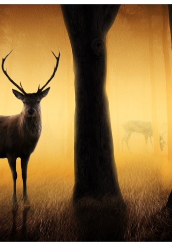 ARTGIST - Fototapet med en hjort i sit naturlige habitat - Flere strrelser