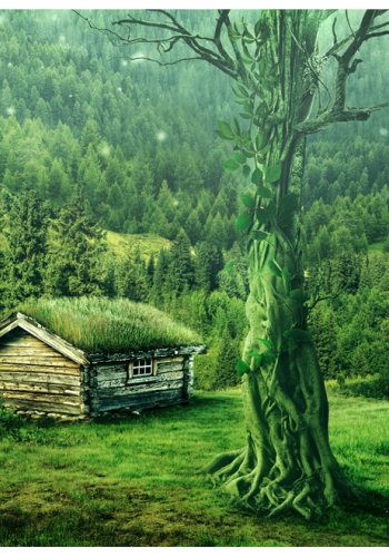 ARTGEIST - Fototapet af bjlkehytte i frodigt grnt landskab - Flere strrelser 