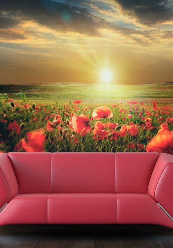 ARTGEIST - Fototapet af daggry p en eng af valmuer - Flere strrelser