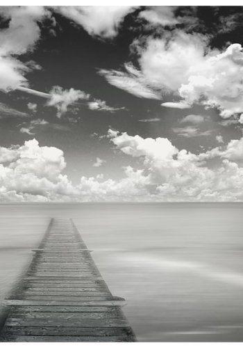 ARTGEIST - Fototapet med badebro i sort/hvid - Flere strrelser