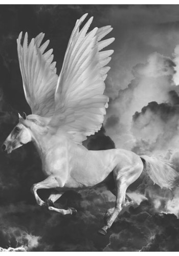 ARTGEIST - Fototapet med en pegasus i sort/hvid - Flere strrelser