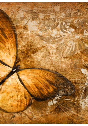 ARTGEIST - Fototapet med sommerfugl i brune nuancer - Flere strrelser