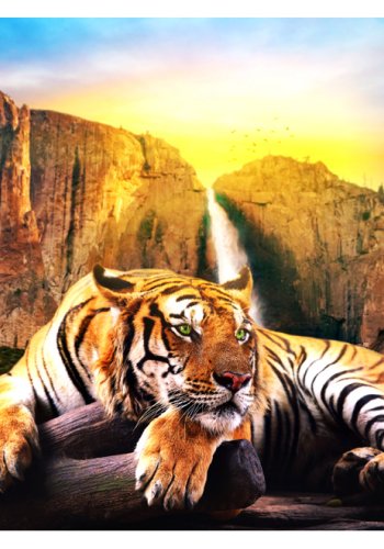 ARTGEIST - Fototapet af flot tiger i naturen - Flere strrelser