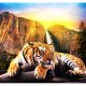 ARTGEIST - Fototapet af flot tiger i naturen - Flere strrelser