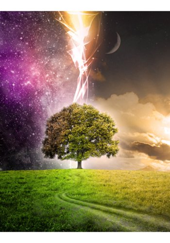 ARTGEIST - Fantasifuldt fototapet med et stort tr - Flere strrelser