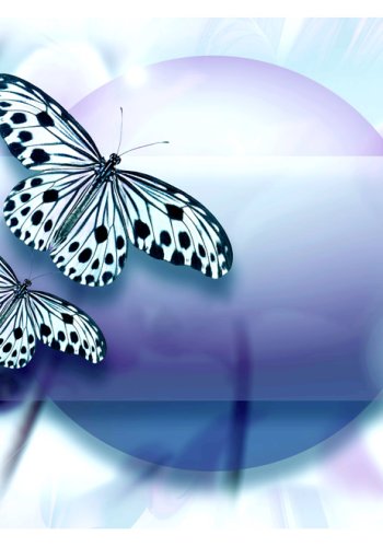 ARTGEIST - Fototapet med sommerfugle i bl nuancer - Flere strrelser