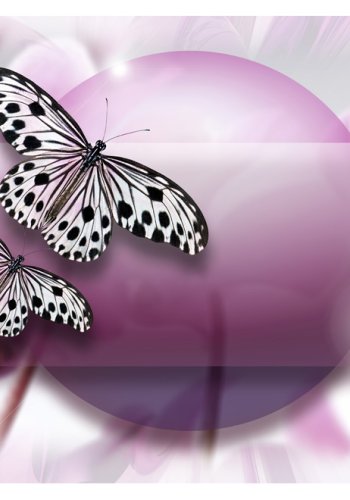 ARTGEIST - Fototapet af sommerfugle med lyserde nuancer - Flere strrelser