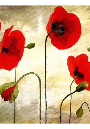 ARTGEIST - Kunstnerisk  fototapet med malede valmuer - Flere strrelser