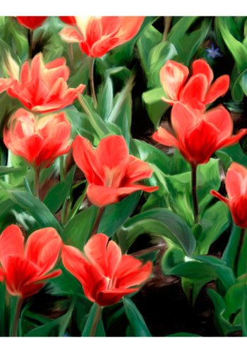 ARTGEIST - Fototapet af malede rde blomster - Flere strrelser