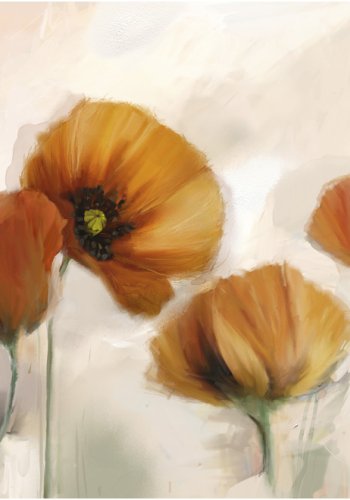 ARTGEIST - Retro fototapet af malede valmuer - Flere strrelser 