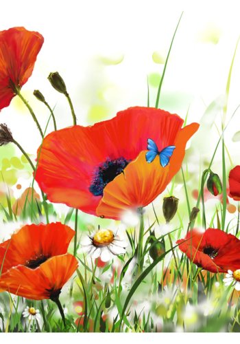 ARTGEIST - Fototapet med farverige valmuer - Flere strrelser