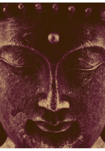 ARTGEIST - Fototapet med Buddhas hoved - Flere strrelser