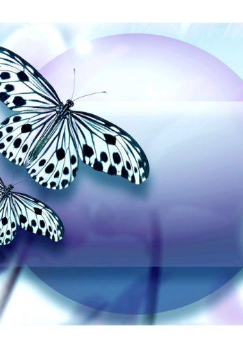 ARTGEIST Fototapet med sommerfugle i abstrakt dekorativt blt og lilla farvemnster