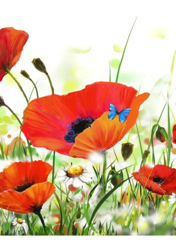 ARTGEIST Natur blomster fototapet med forrsblomster p eng