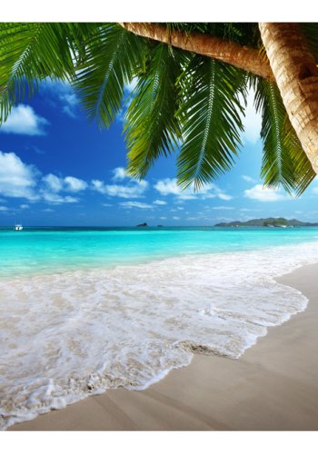 ARTGEIST Fototapet med motiv af palmestrand p tropisk  - palmer, sand, vand (flere strrelser)