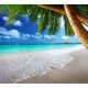 ARTGEIST Fototapet med motiv af palmestrand p tropisk  - palmer, sand, vand (flere strrelser)