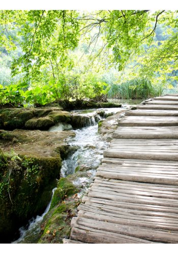 ARTGEIST Natur fototapet med motiv af skovsti og vandlb i grnt naturomrde (flere strrelser)