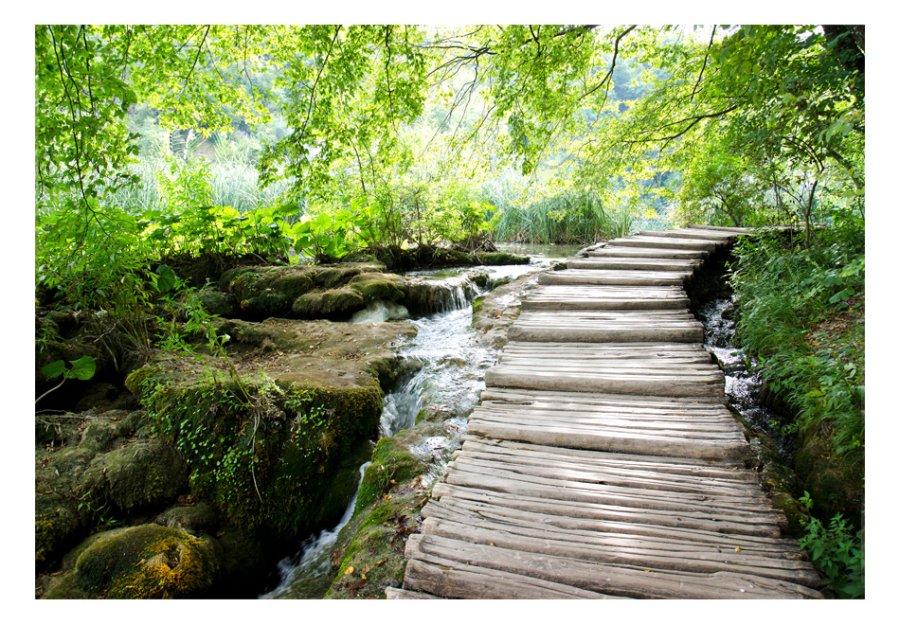ARTGEIST Natur fototapet med motiv af skovsti og vandlb i grnt naturomrde (flere strrelser)