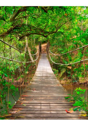 ARTGEIST Natur fototapet med motiv af hngebro i skov (flere strrelser)
