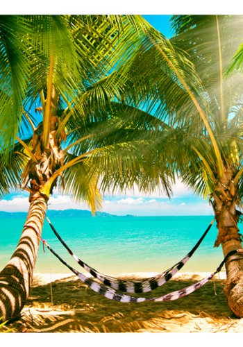 ARTGEIST Fototapet med motiv af hngekjer i solstrle under palmetrer p strand (flere strrelser)
