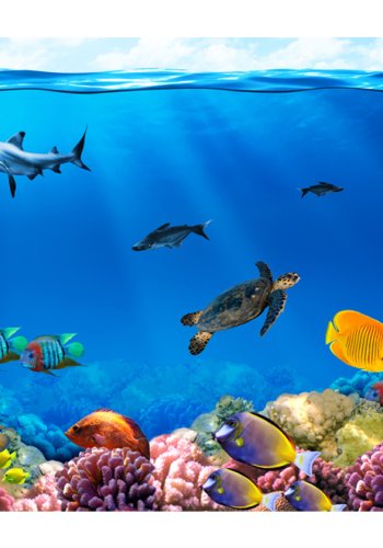 ARTGEIST Fototapet med motiv af tropiske fisk og havdyr i det bl ocean (flere strrelser)