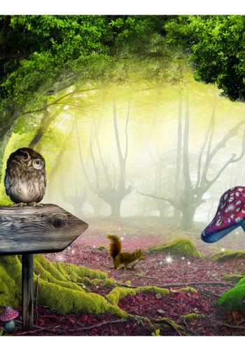 ARTGEIST Natur fototapet med ugle p skilt og egern i fortryllende magisk skov (flere strrelser)