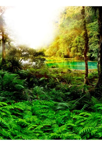 ARTGEIST Fototapet af idyllisk skov - In tropics (flere strrelser)