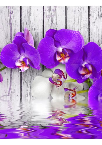 ARTGEIST - Fototapet af lilla orkidé der afspejles i vandoverfladen - Flere strrelser