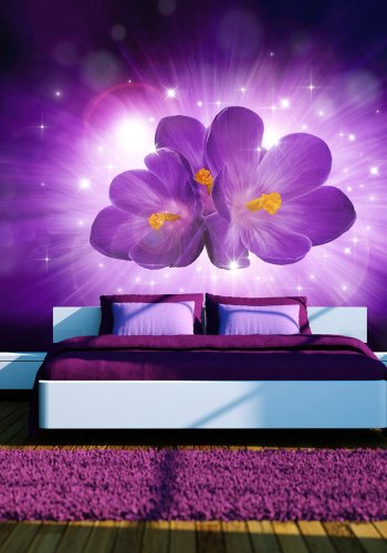 ARTGEIST - Fototapet af lilla orkidé oplyst af flot baggrundsskr - Flere strrelser