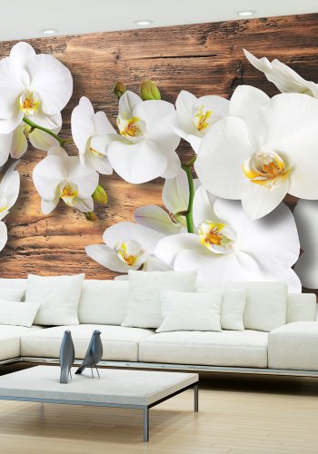 ARTGEIST - Fototapet med hvide orkidéer p baggrund af brndt tr - Flere strrelser