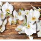 ARTGEIST - Fototapet med hvide orkidéer p baggrund af brndt tr - Flere strrelser