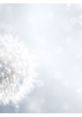 ARTGEIST - Fototapet med mlkebtter - Flere strrelser