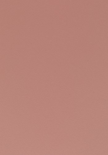 WHITE LABEL LIVING Gigi spisebordsstol - lyserd polypropylen og stl