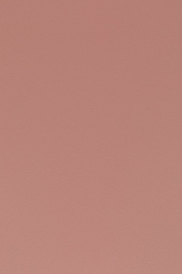 WHITE LABEL LIVING Gigi spisebordsstol - lyserd polypropylen og stl