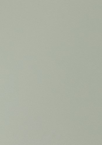 WHITE LABEL LIVING Gigi spisebordsstol - mint polypropylen og stl