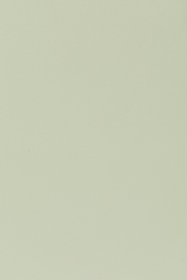 WHITE LABEL LIVING Clive spisebordsstol - lysegrn polypropylen