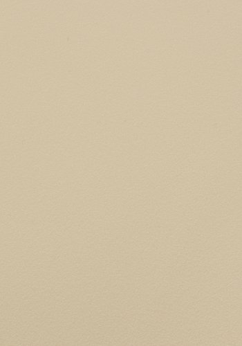 WHITE LABEL LIVING Sjoerd havestol, stabelbar - beige polypropylen