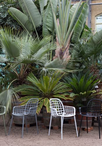 ZUIVER Albert Kuip havestol, m. armln, stabelbar - grn aluminium