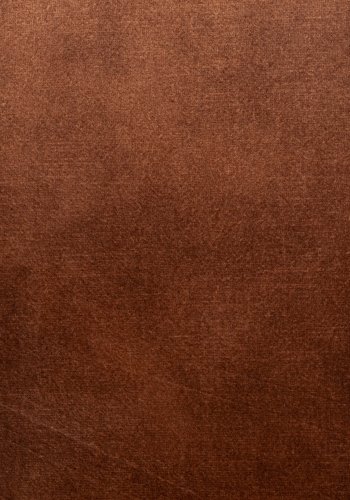 WHITE LABEL LIVING Jamie spisebordsstol, m. armln - rust polyester og metal