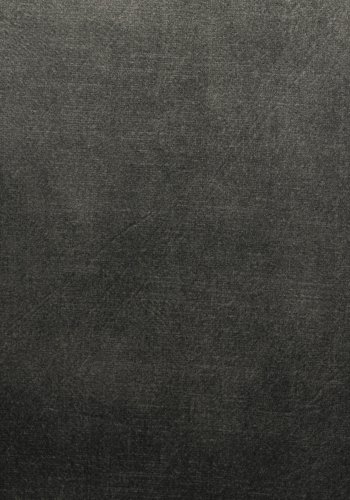 WHITE LABEL LIVING Jamie spisebordsstol, m. armln - mos polyester og metal