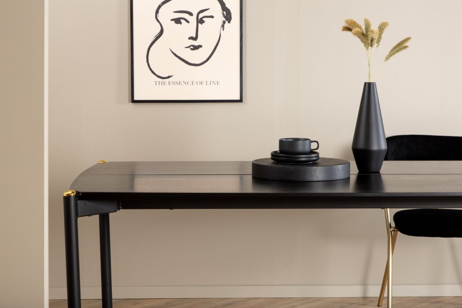 VENTURE DESIGN Pelle spisebord, rektangulr - sort finér og sort stl (190x90)