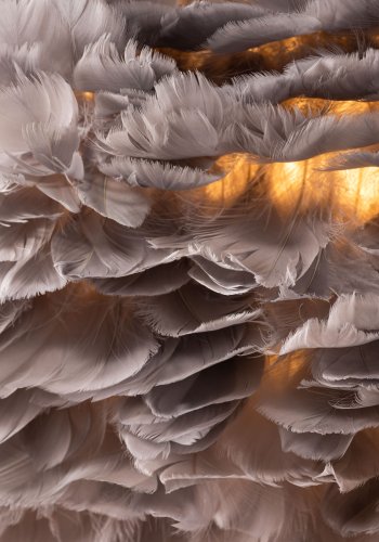 VENTURE DESIGN Nicola loftlampe, X-Large - gr kunstige fjer