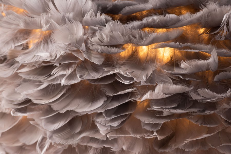 VENTURE DESIGN Nicola loftlampe, X-Large - gr kunstige fjer