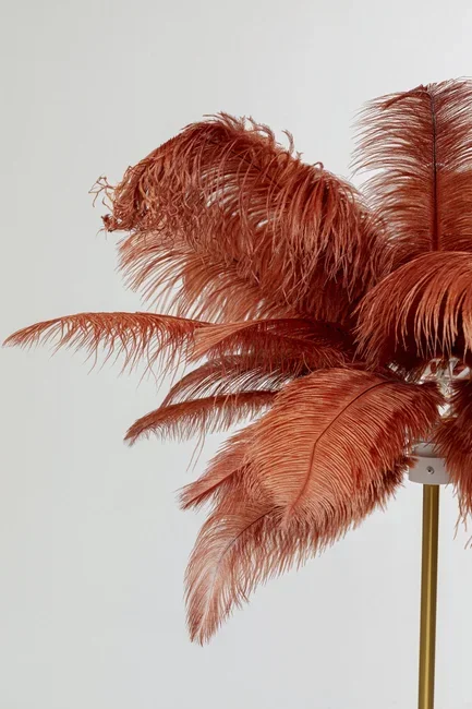 KARE DESIGN Feather Palm gulvlampe - rustrd strudsefjer og messing stl