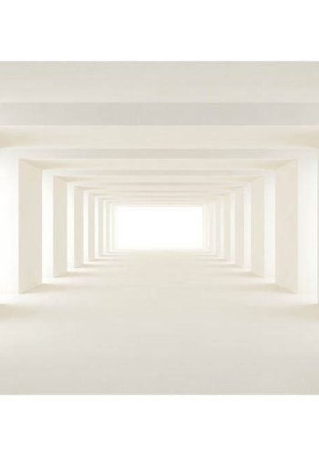 ARTGEIST fototapet XXL - Into the Light II, hvidt print (280x500)