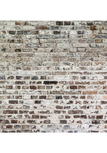 Artgeist fototapet XXL - Walls of Time, 280x500