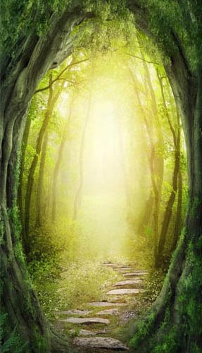 ARTGEIST Fototapet til dren - The Forest of Fantasy