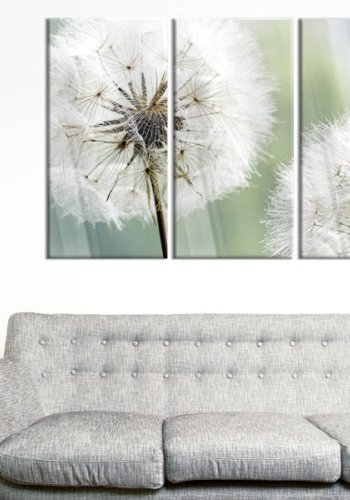 Artgeist billede - Fluffy Dandelions, plexiglas